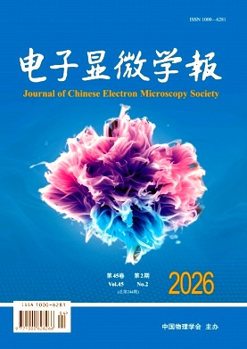 电子显微学报封面